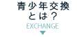 青少年交換とは？